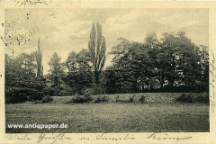 1925 Mühlchen Wiese